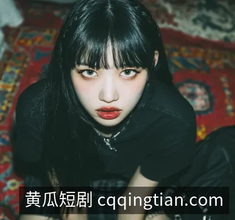 企业概况